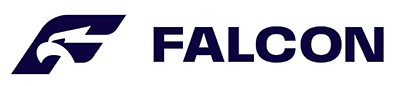 Falcon Processing